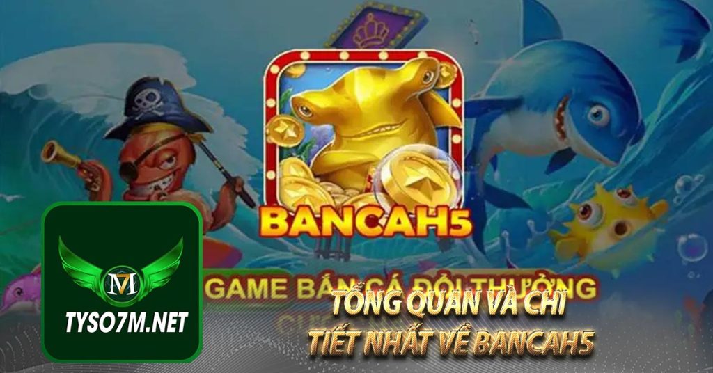 Tổng quan và chi tiết nhất về Bancah5