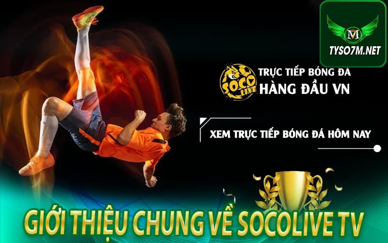 Giới thiệu chung về Socolive tv