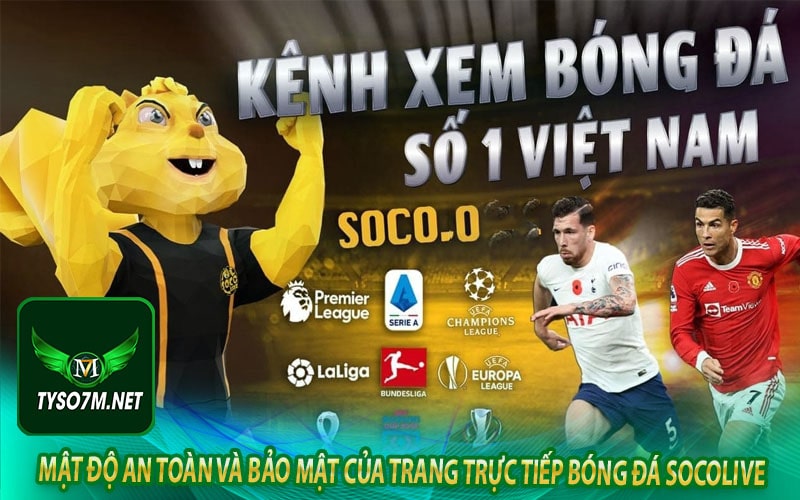 Mật độ an toàn và bảo mật của trang trực tiếp bóng đá socolive