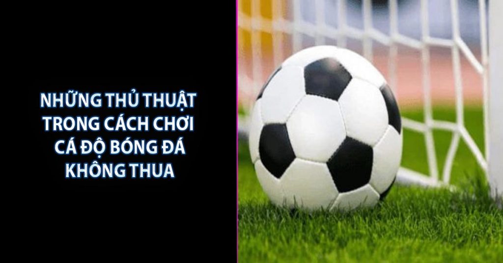 Những thủ thuật trong cách chơi cá độ bóng đá không thua